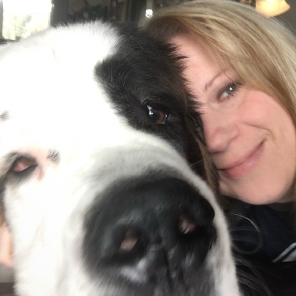 No Theme Share Show TBA - Picture 5 of 7